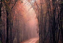 最新战报！吴宜泽德比开门红，肖国栋怒砍1分，.