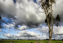 詹姆斯28+13东契奇31分 湖人险胜快船取得五连胜.