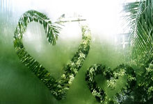 海星体育：洛里：大马丁会因点球时的行为受批评，但我认为他做得非常好.