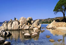 海星体育：9-10，决赛3连败1人！小特2纪录泡汤，最快下周.